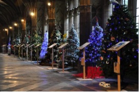 Worcester Cathedral Christmas Tree for The Daisy Chain Benevolent Fund